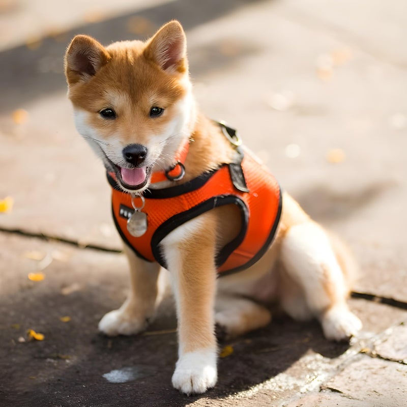 PUPPIA International Harness Soft B Vest, Medium, Orange - Image 4